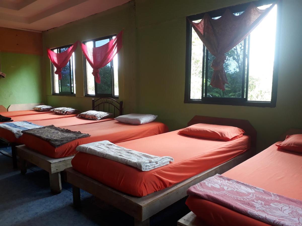 Mulu D Cave Homestay المظهر الخارجي الصورة